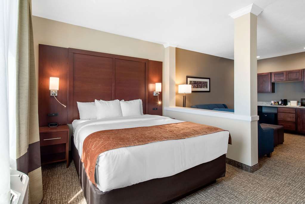 Comfort Suites Denver International Airport - photo 27