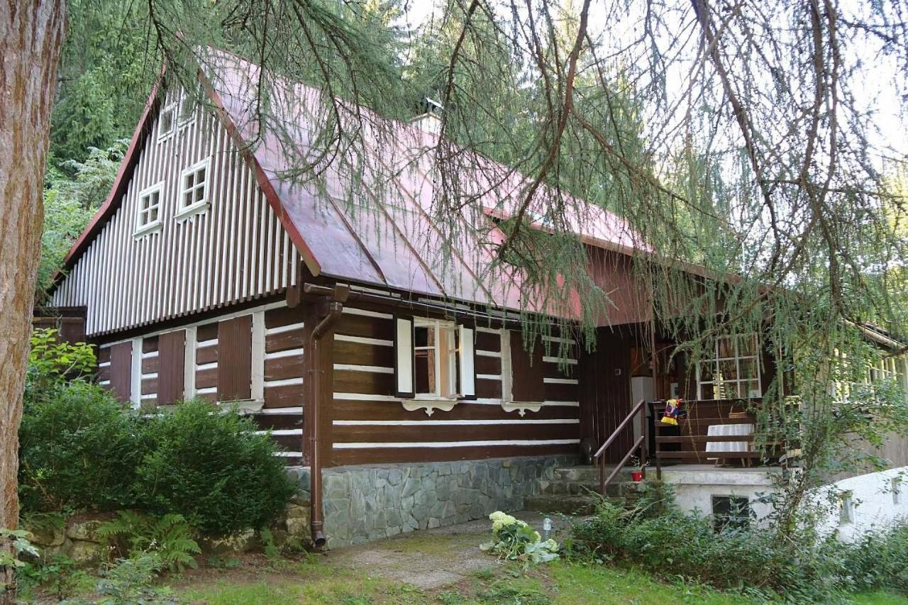 Chalupa pod Modřínem — hotel in Korenov