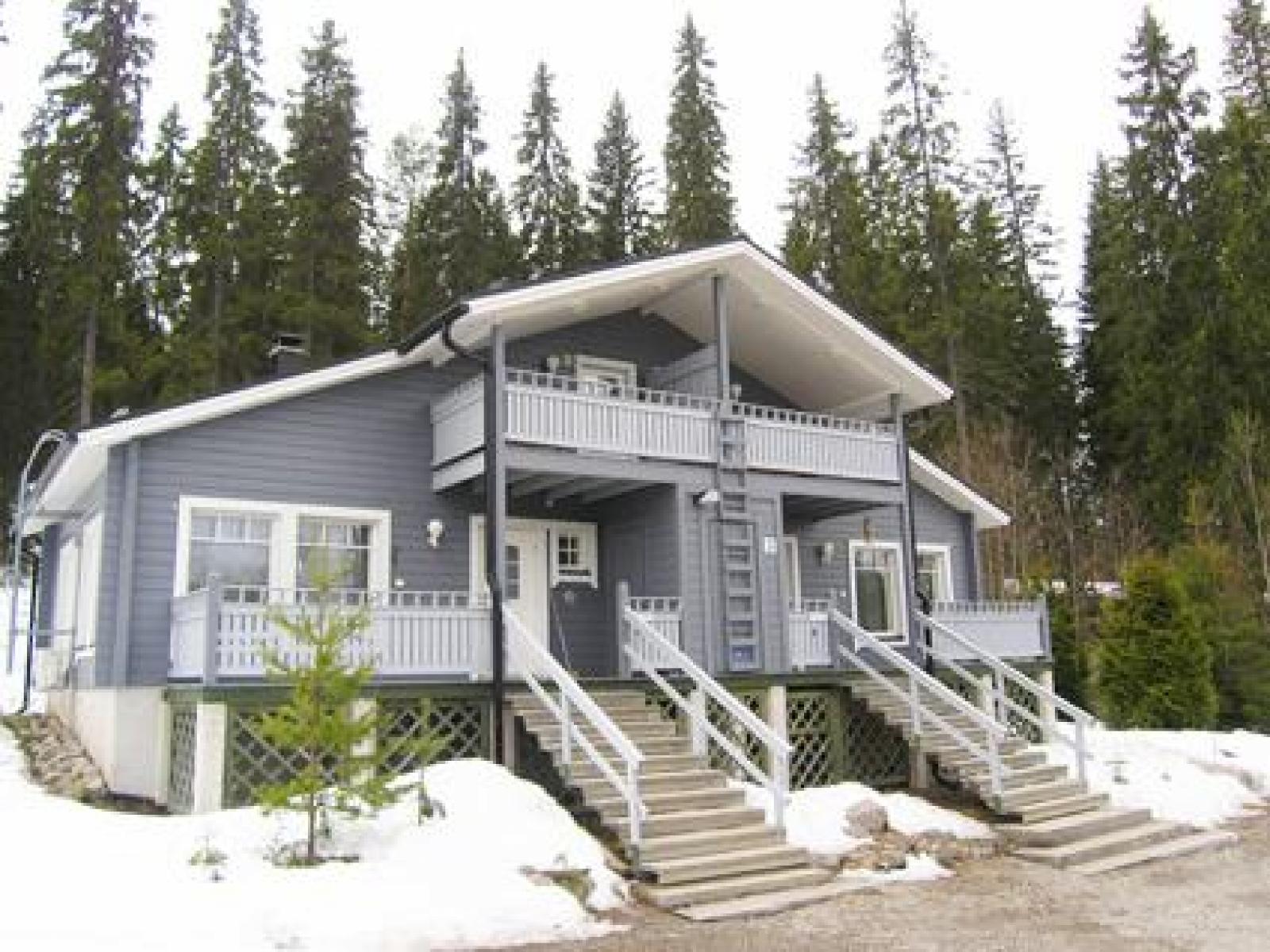 Sinivuokko in Vuokatti, Finland