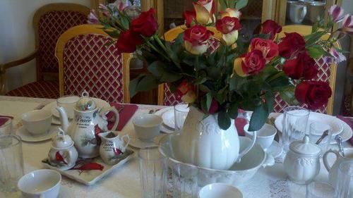 Allegan Country Inn - photo 9