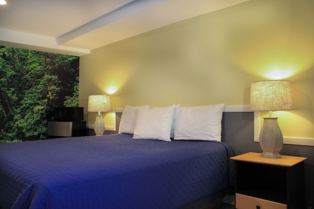 Bucksport Inn - photo 16