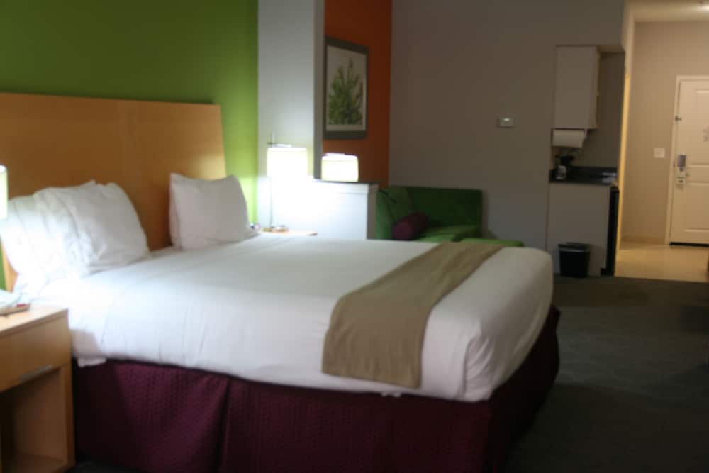 Holiday Inn Express Hotel & Suites Clute Lake Jackson by IHG - photo 2