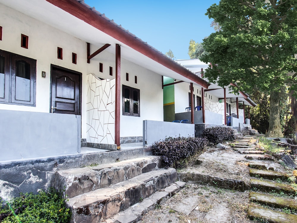 Hotel O Green Forest Homestay Neartaman Wisata Pusuk Sembalun — Bayeuen