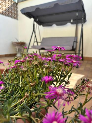 A 2 passi dal blu — 4-Star Luxury Hotel in Roseto Degli Abruzzi, Italy