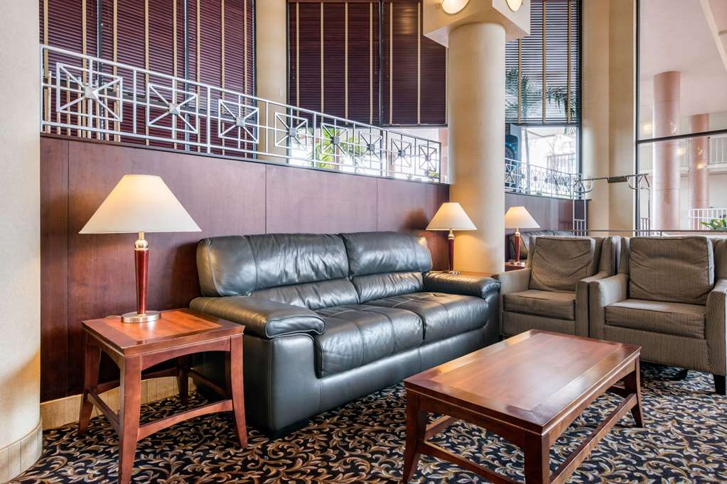 Quality Inn & Suites Tarpon Springs South - photo 4