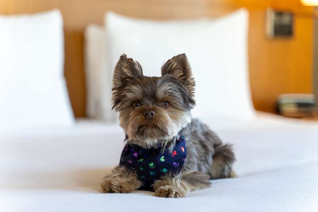 Hyatt Place Pasadena - photo 42