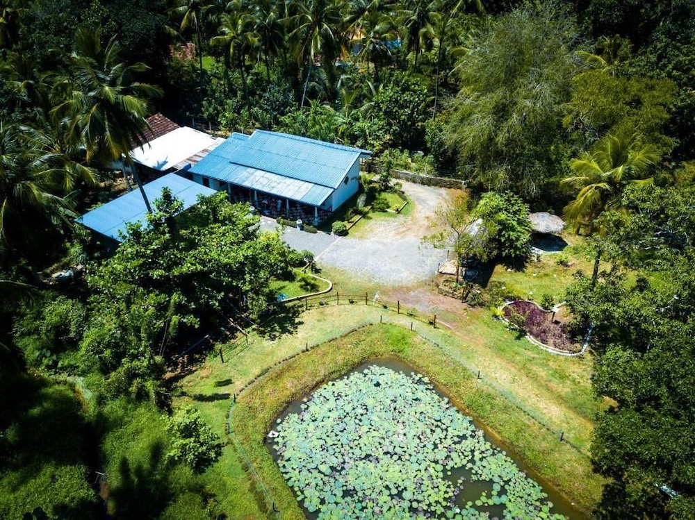 Avian Garden Udawalawe in Unknown City, Sri Lanka