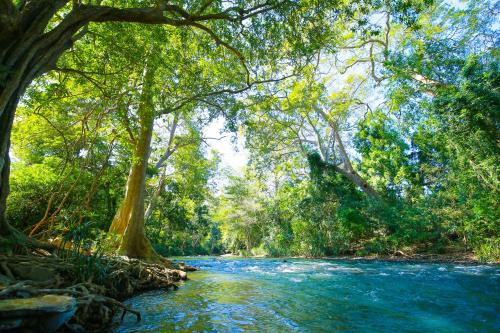 River Cottage — 5-Star Luxury Hotel in Wellawaya, Sri Lanka