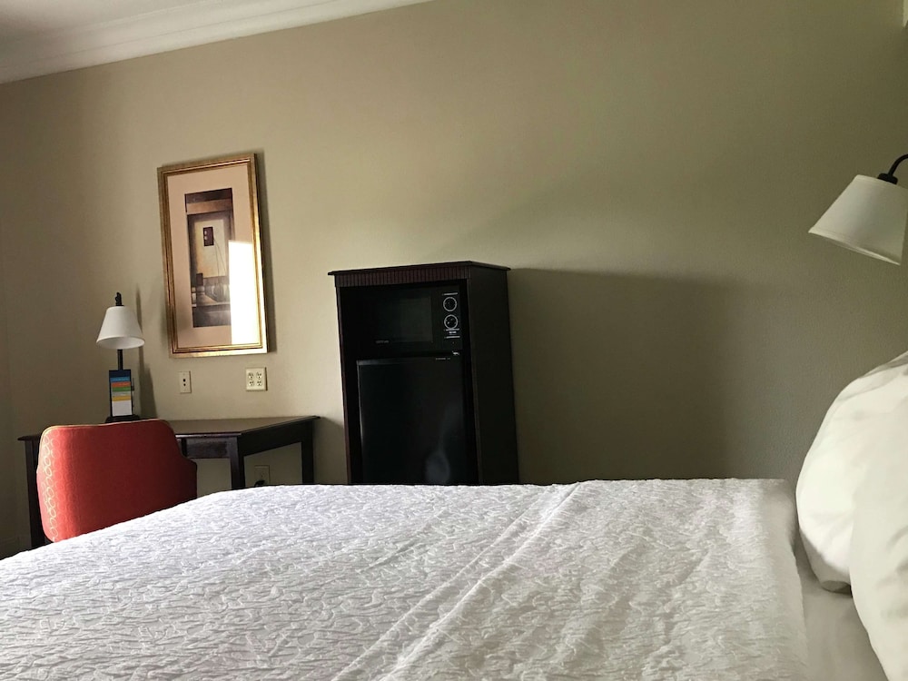 Hampton Inn Vidalia - photo 21