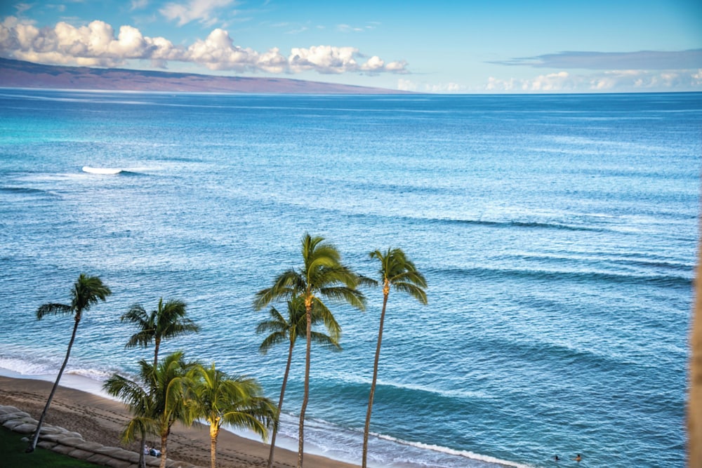 Royal Kahana Maui By Outrigger - photo 815