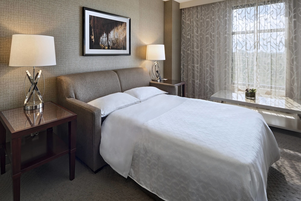 Sheraton Austin Georgetown Hotel & Conference Center - photo 13