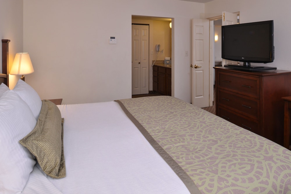 Staybridge Suites Indianapolis Airport by IHG - photo 8