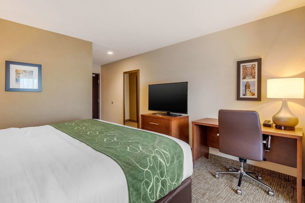 Comfort Inn & Suites Schenectady Scotia - photo 15