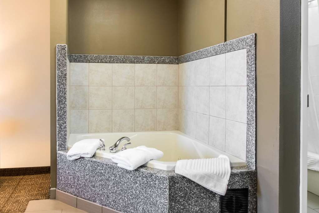Comfort Inn Columbia Lancaster - photo 18