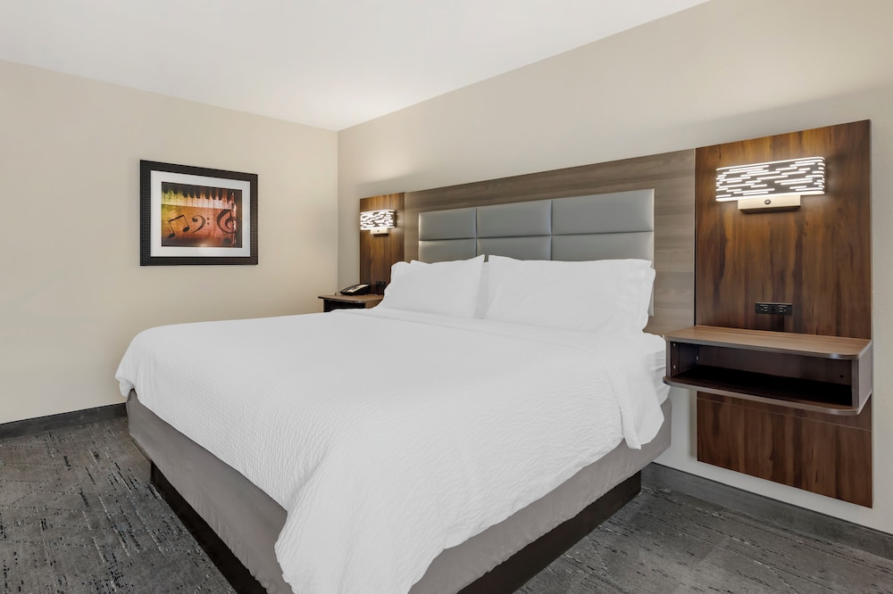 Holiday Inn Express & Suites Nashville Southeast Antioch by IHG - photo 11