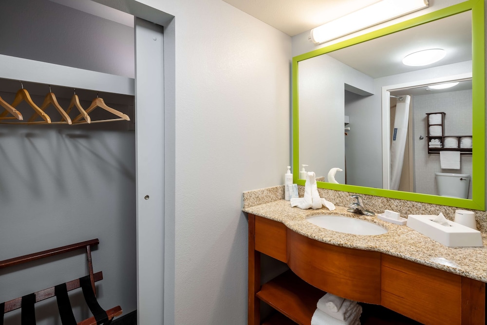 Hampton Inn & Suites St. Louis at Forest Park - photo 19
