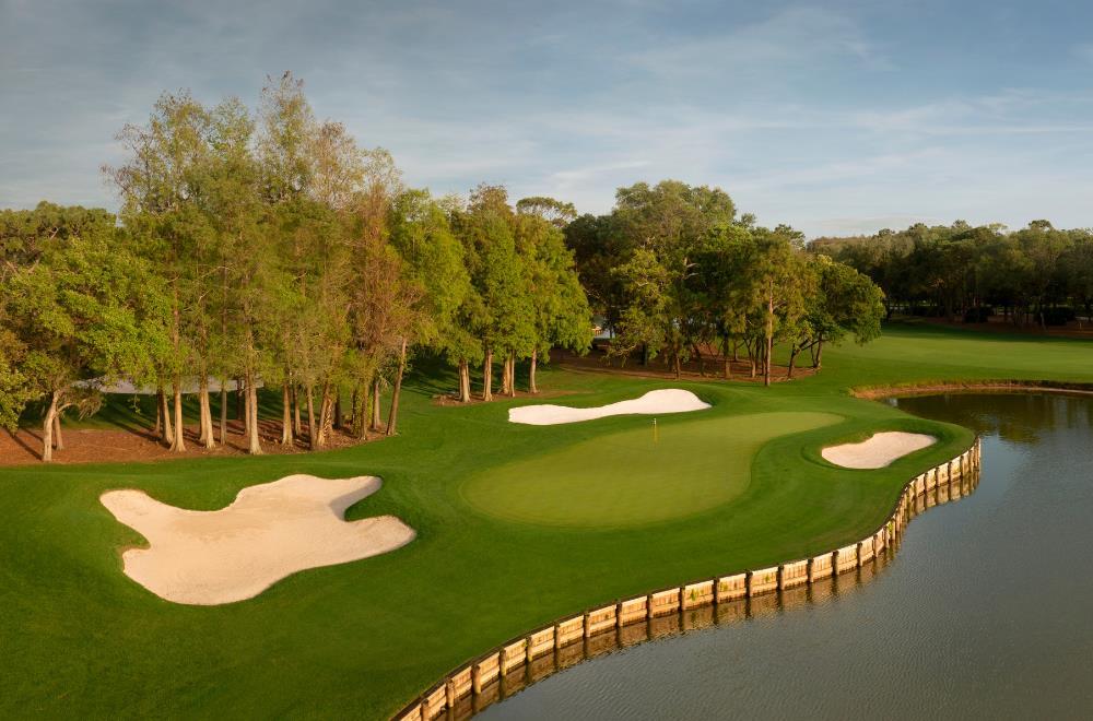Innisbrook Resort - photo 87