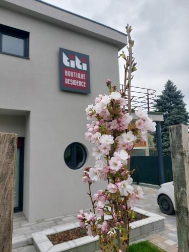 Titi Boutique Apartmanok — Buk — photo 2