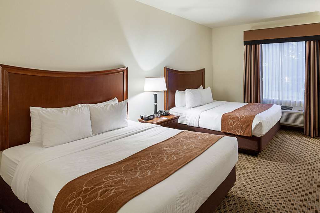 Comfort Suites Stone Oak - photo 18