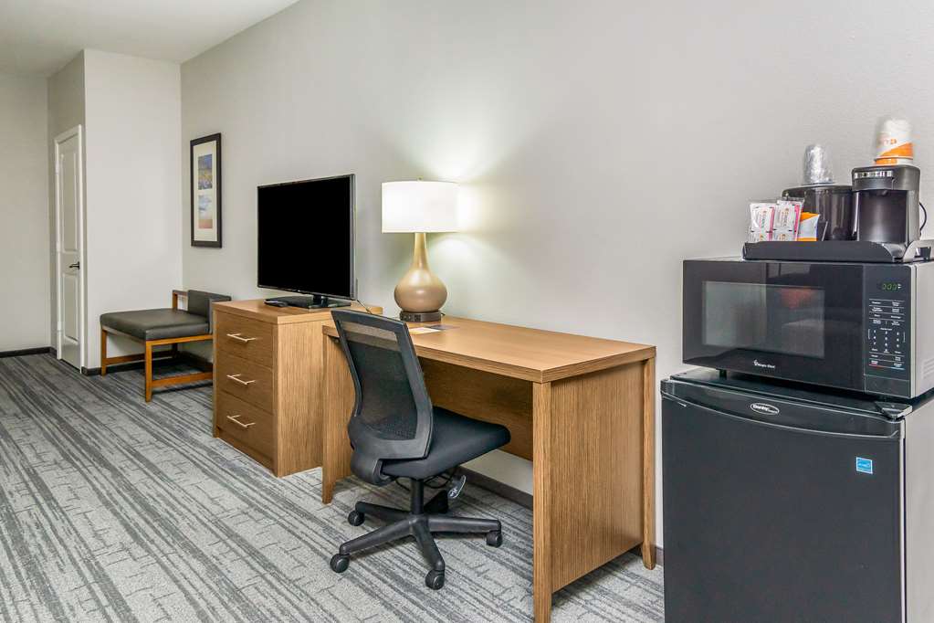 Comfort Suites DeSoto Dallas South - photo 24