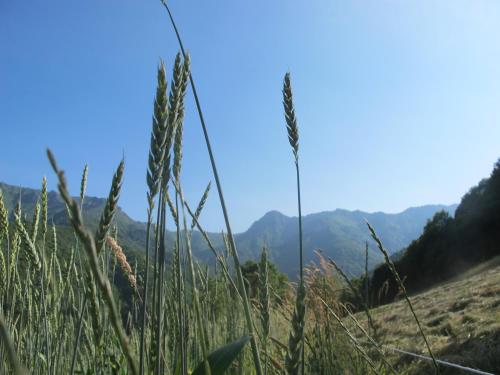 Meiro di Choco - carbon neutral hotel in Pradleves