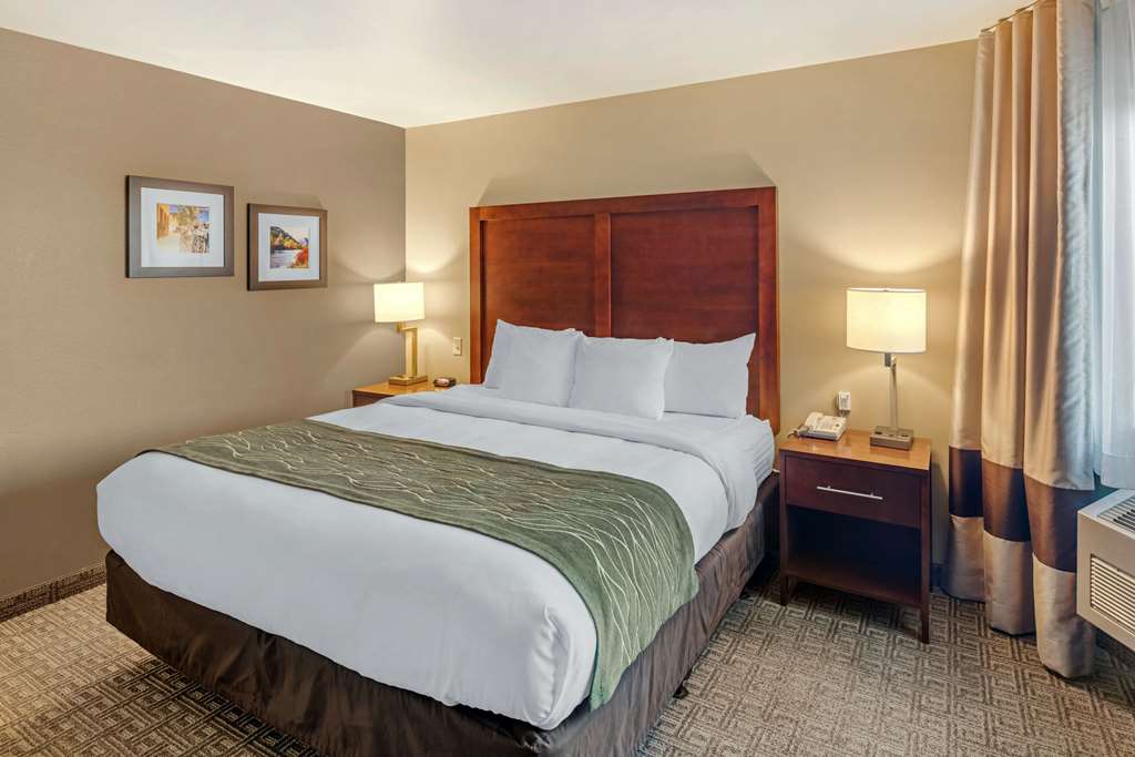 Comfort Inn University Montana - photo 3
