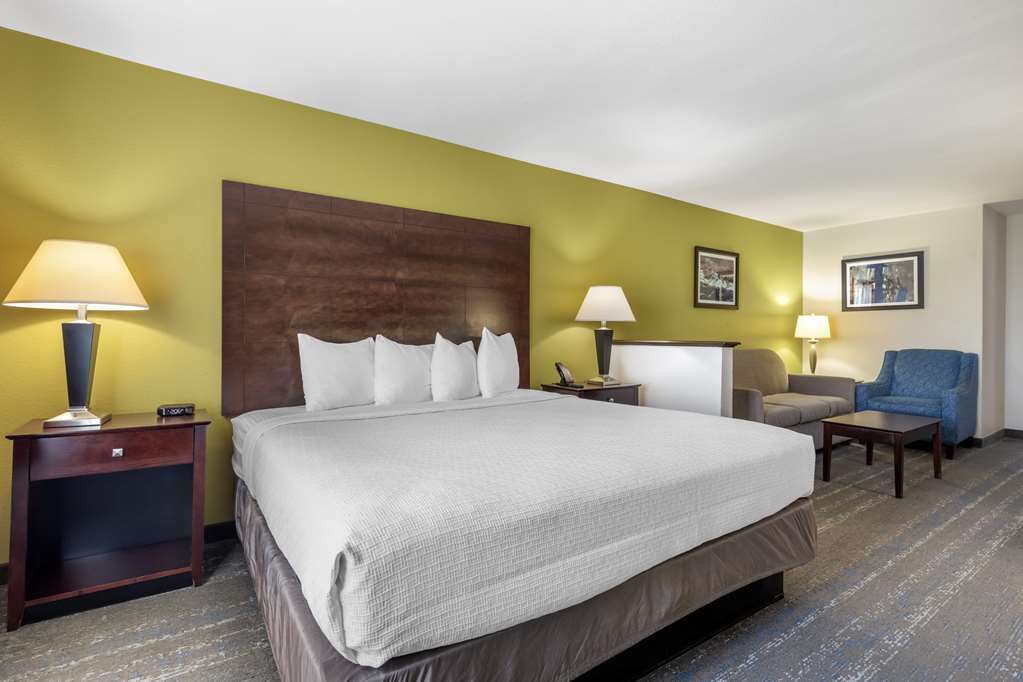 Best Western Plus Mansfield Inn & Suites - photo 21