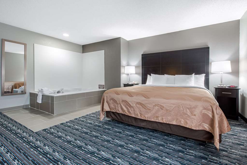 Quality Inn & Suites Brownsburg Indianapolis West - photo 30