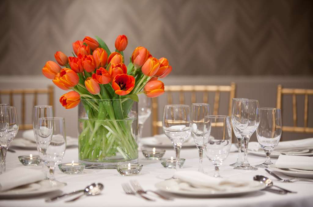 The Royal Sonesta Washington DC Dupont Circle - photo 33
