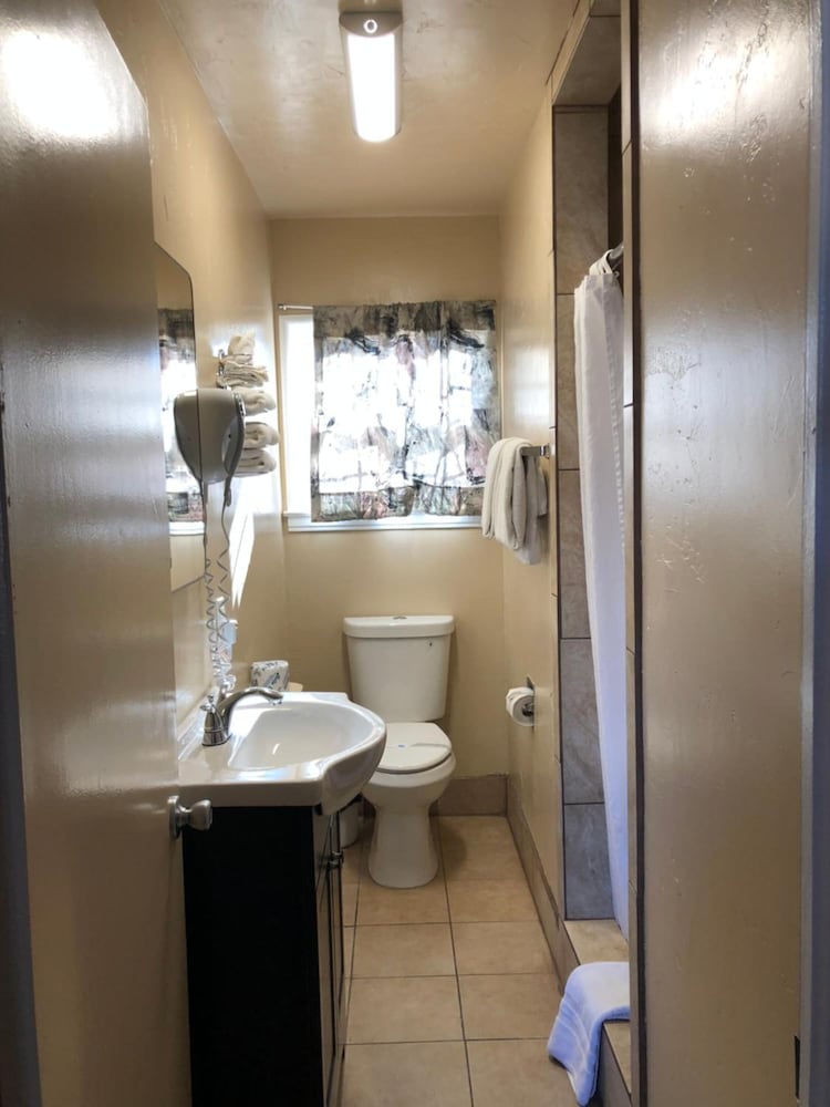 Holland Inn & Suites - photo 39