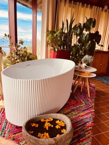 LasNubes EcolodgeNubes Ecolodge in Unknown City, Colombia