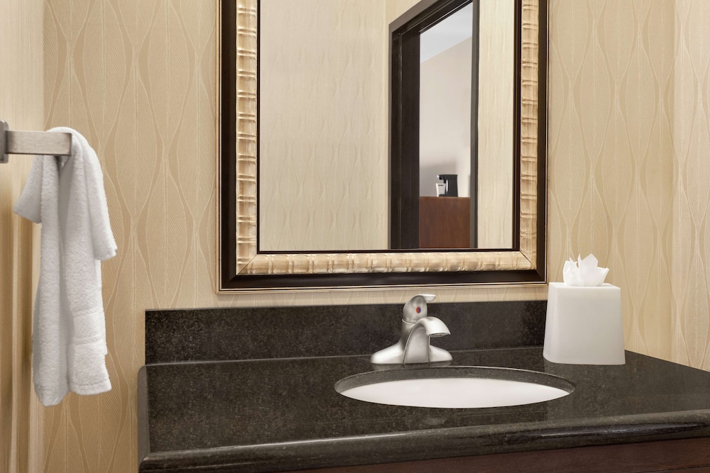 Hampton Inn Sulphur Springs - photo 23
