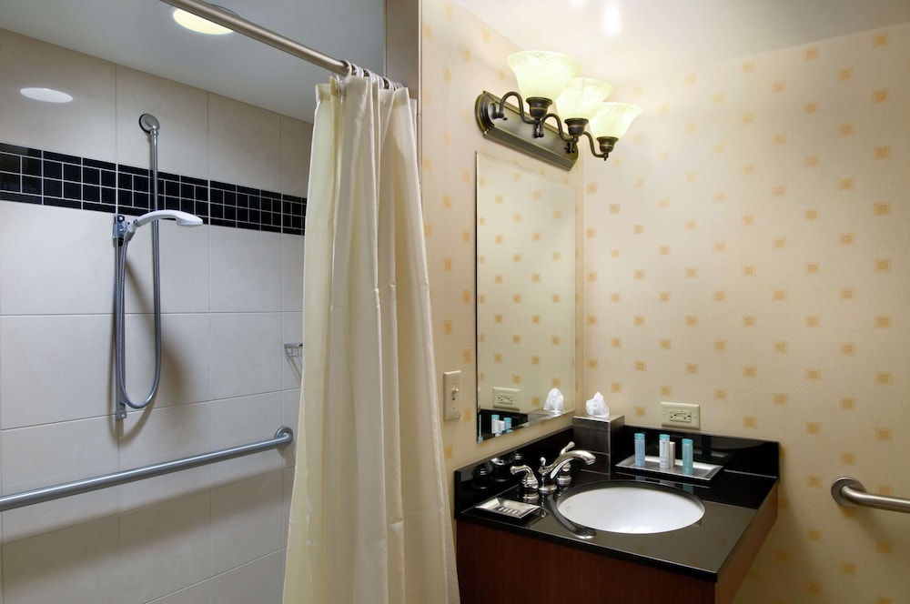 Hilton Chicago O'Hare Airport - photo 33