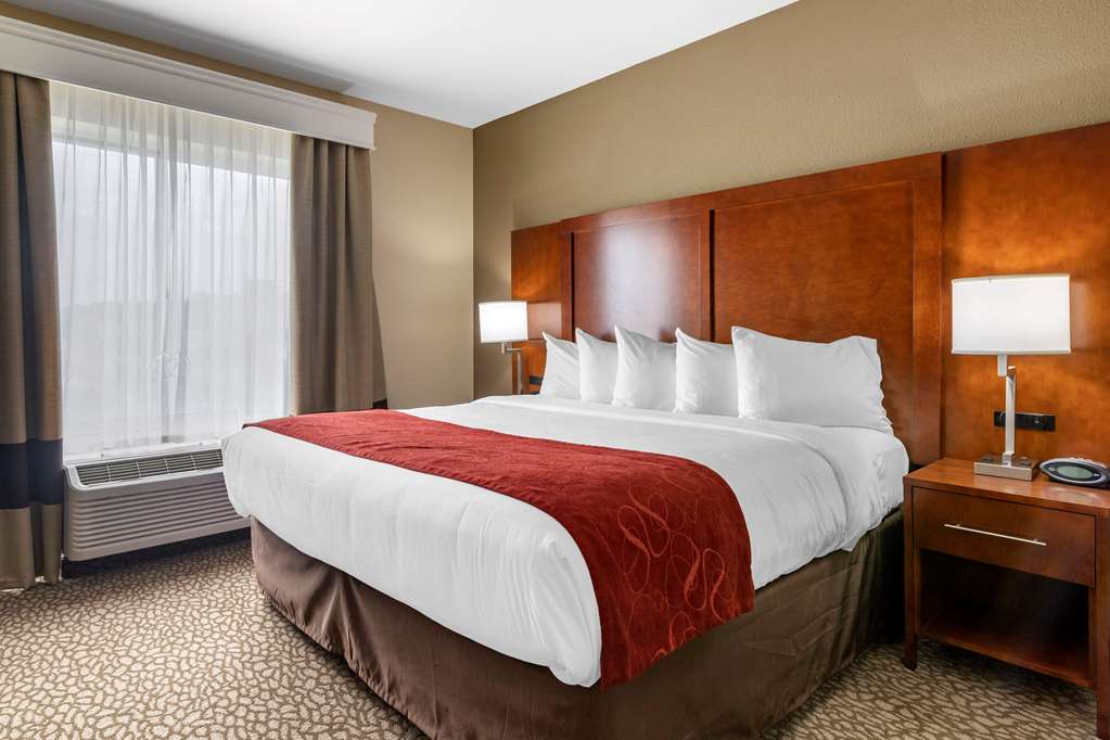 Comfort Suites Florence I 95 - photo 11