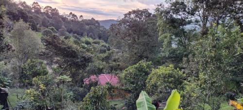 Mariposario La Crysalida in San Francisco, Colombia