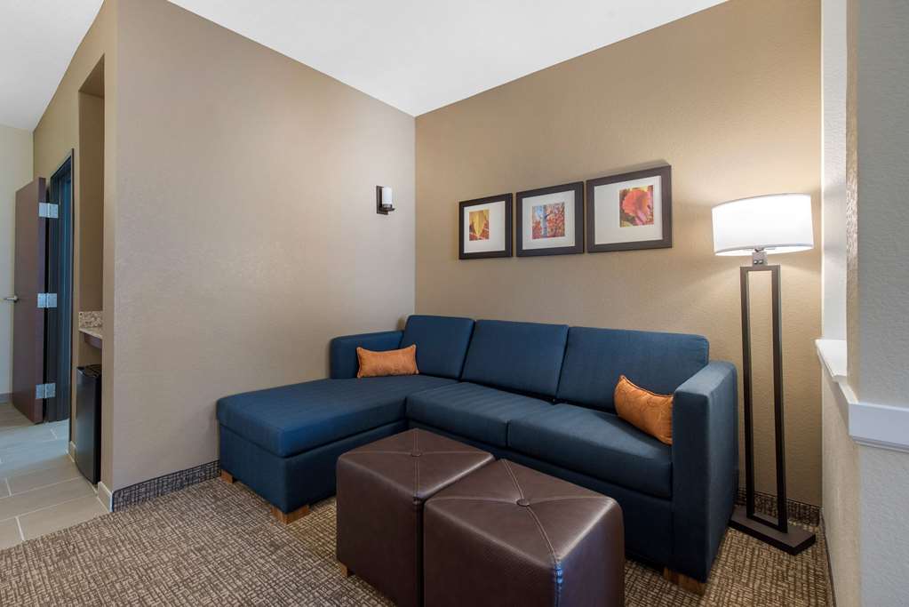 Comfort Suites Denver International Airport - photo 13