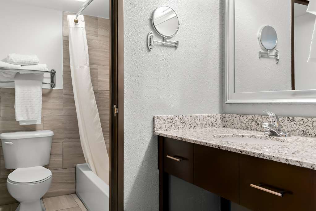 Best Western Plus Flint Airport Inn & Suites - photo 36