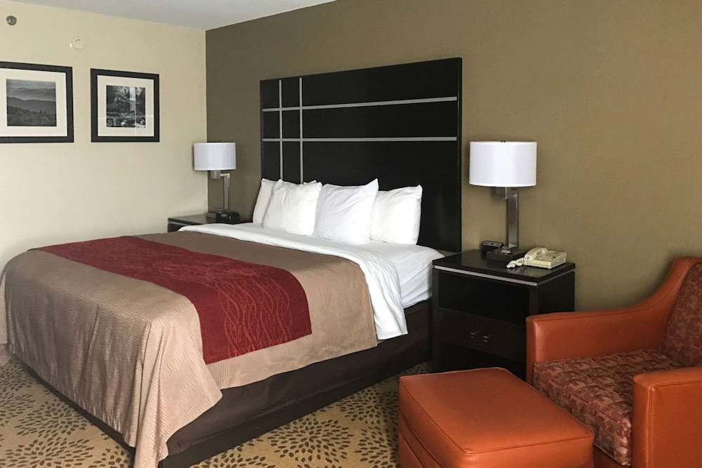 Comfort Inn North of Asheville - photo 23