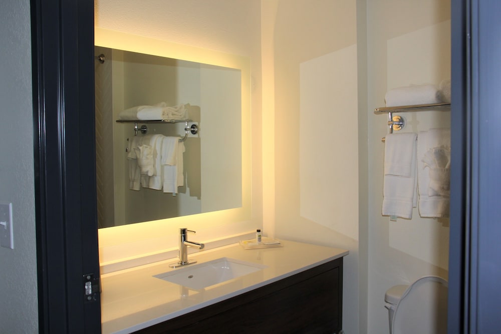 Holiday Inn Southaven Central Memphis by IHG - photo 38
