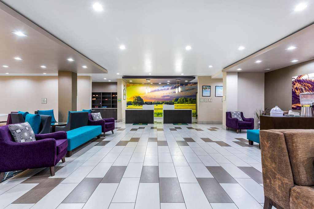 Quality Inn & Suites Colorado City TX - photo 8