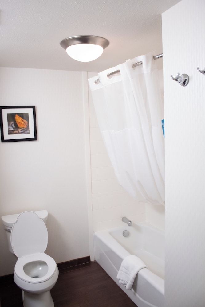 Hampton Inn Big Rapids - photo 18