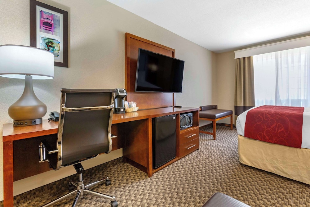 Spark by Hilton Tempe Phoenix Airport - photo 8