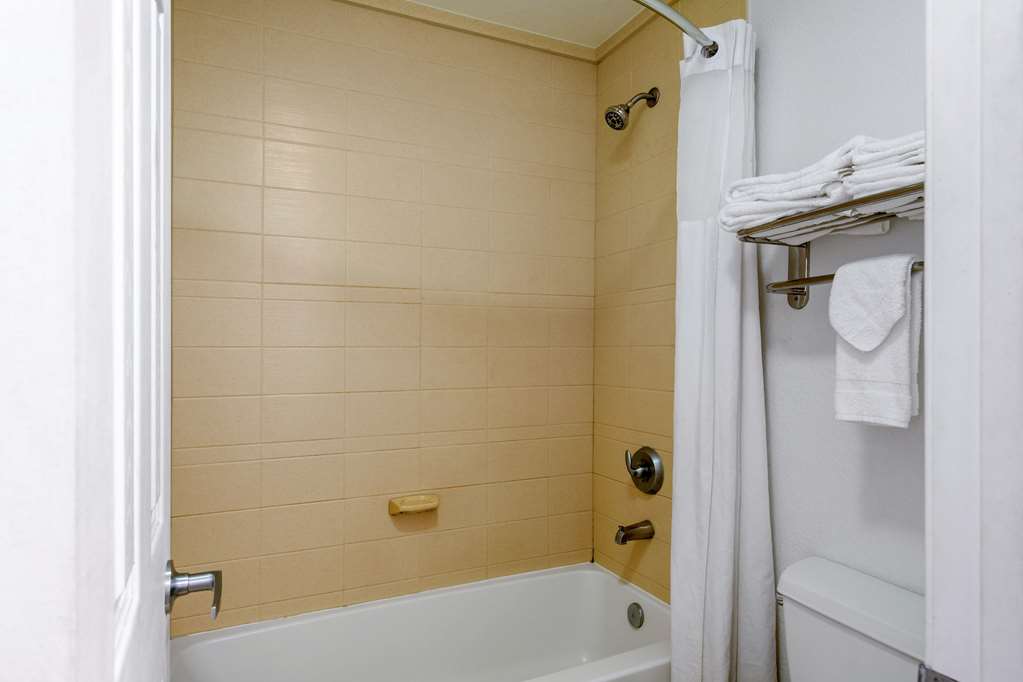 Quality Inn Clute Freeport - photo 20