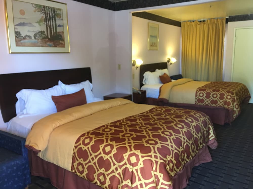 Executive Suites Inn - photo 10