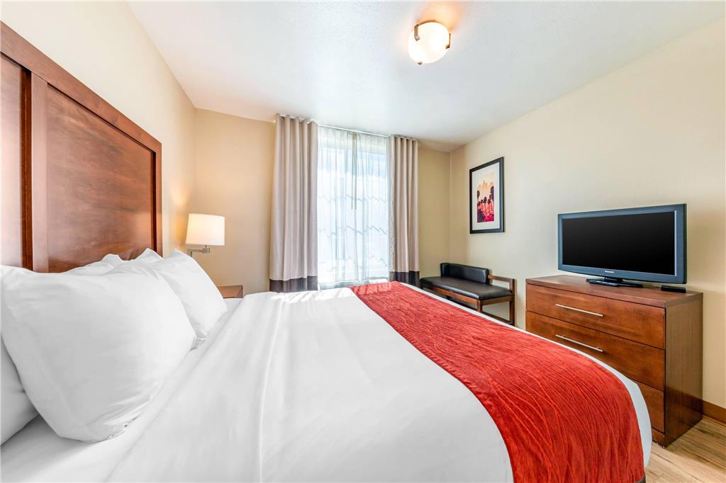 Comfort Inn & Suites Lancaster Antelope Valley - photo 19
