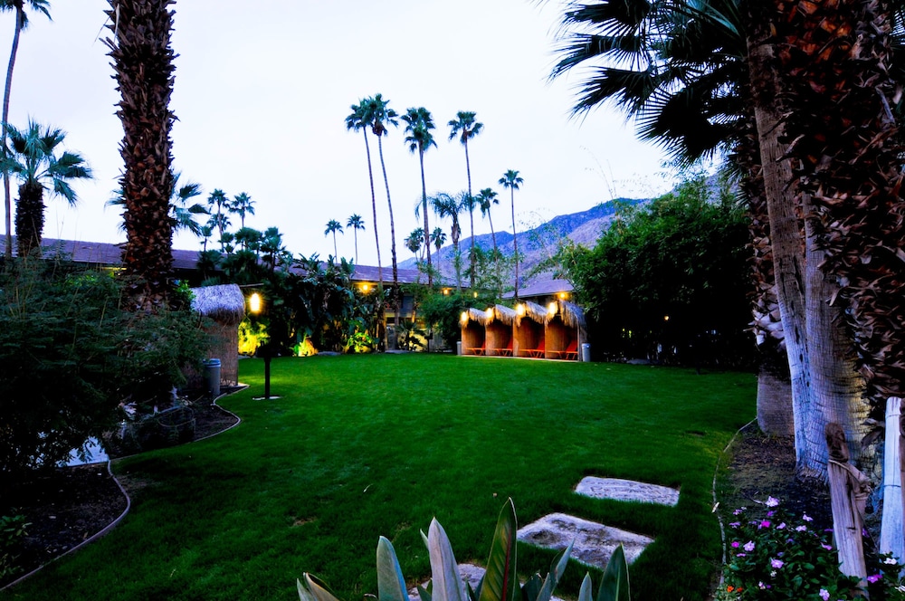 Caliente Tropics Hotel - photo 100