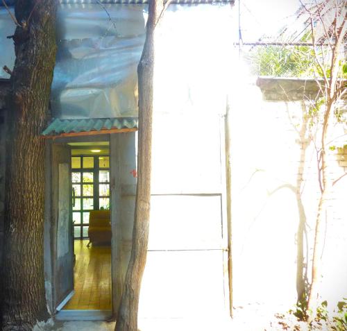 Gardens in Vake Tbilisi
