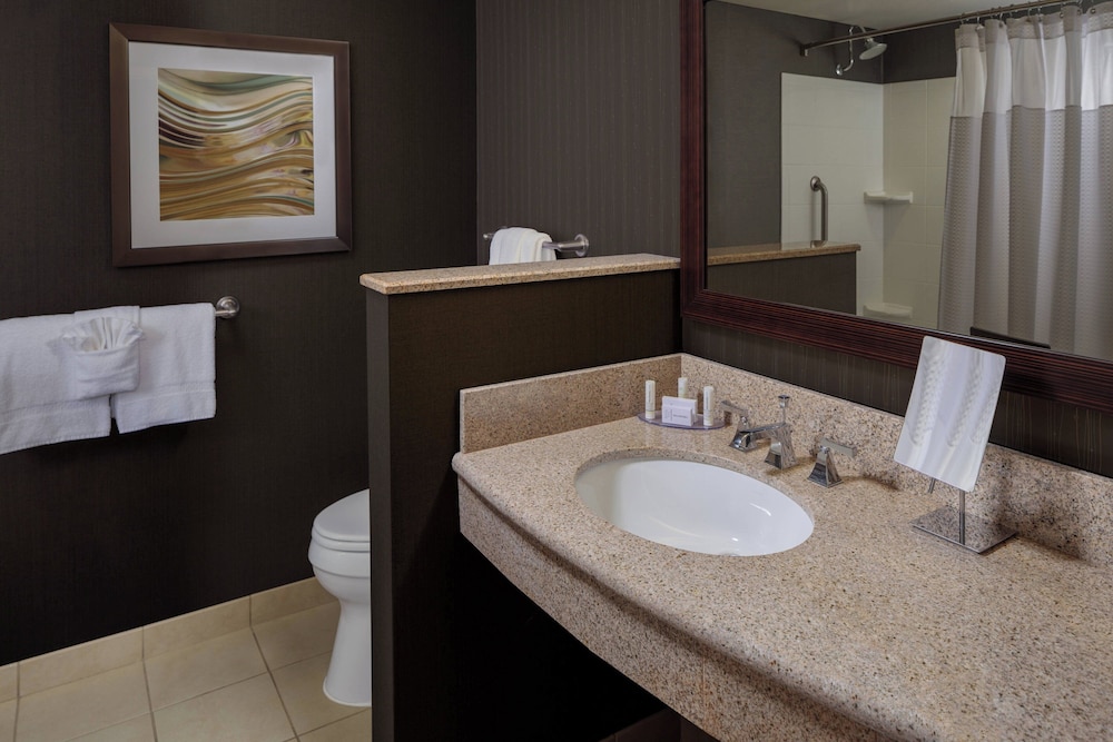 Courtyard by Marriott Houston Medical Center NRG Park - photo 12