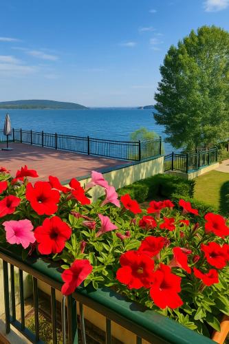 Scarlet Flower Lago Maggiore — Meina — photo 2