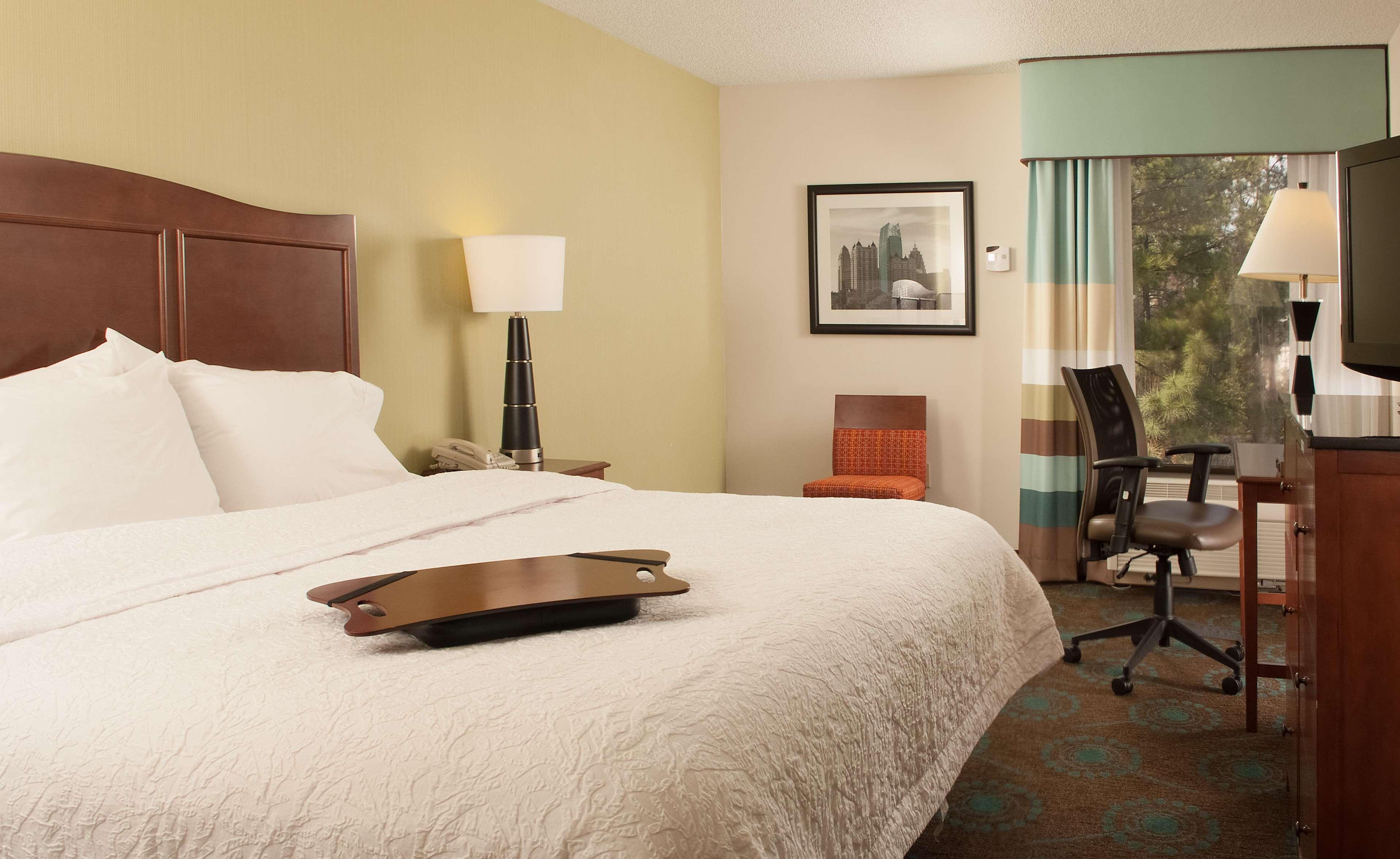 Hampton Inn Atlanta North Druid Hills - photo 19